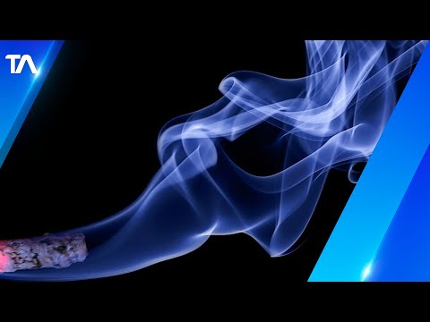 Por tu salud: El tabaco y los efectos en el cuerpo humano