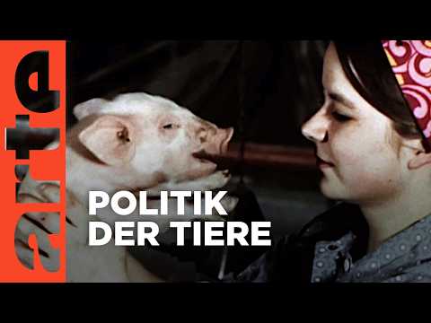 Das sozialistische Tier - Kaninchen, Kühe und Co im Dienst der DDR | Doku HD | ARTE