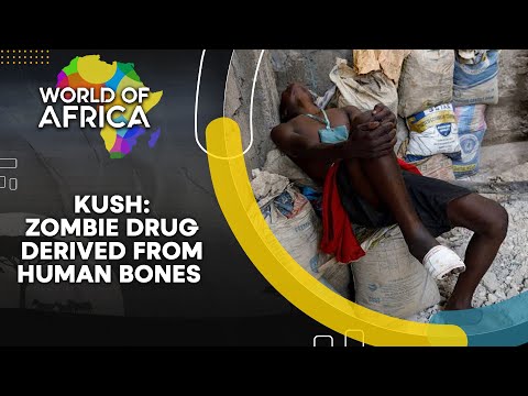 LIVE | Kush: Drug made out of human bones ravages Sierra Leone youth | World of Africa | WION News