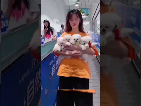 #All My Pets, One Big Hug#Caught with a Handful of Happiness#Fluffy Squad Goals