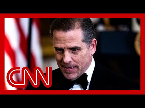Was Hunter Biden given a 'sweetheart deal'? Legal expert weighs in
