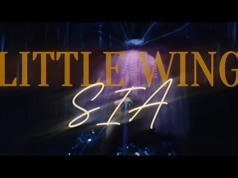 Sia - Little Wing (Live version) [Visualizer]