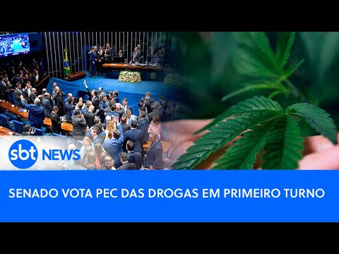 AO VIVO: Senado vota PEC das Drogas em primeiro turno
