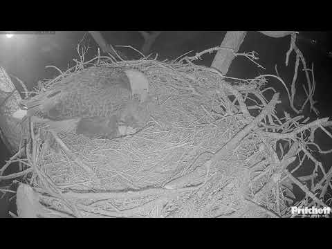 We have a HATCH! Welcome to the World E26!