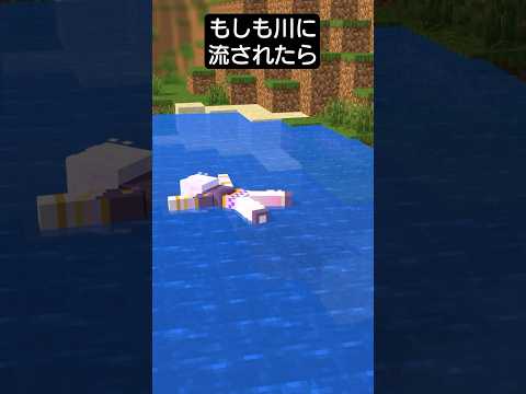 【バカが解決】もしも川に流されたら【マイクラアニメ】#shorts #もしもシリーズ #アマル