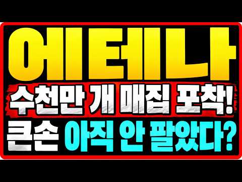 [에테나] 고래 움직임 포착｜2,533만 개 들고 있는 큰손, 아직 안 팔았다?