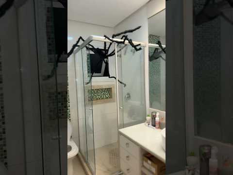 TEM UMA ARANHA GIGANTE NO MEU BANHEIRO