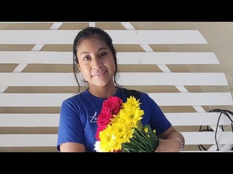 REGRESANDO A YOUTUBE