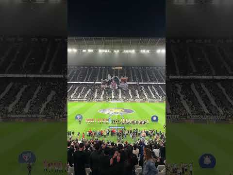 image para ilustrar o artigo