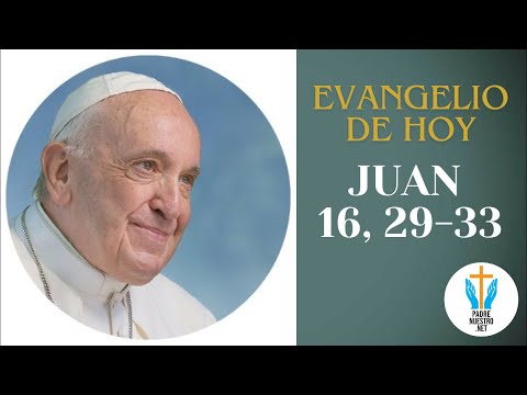 ? Evangelio de HOY JUAN 16, 29-33 con la reflexión del Papa Francisco  |  13 de MAYO de 2024 |