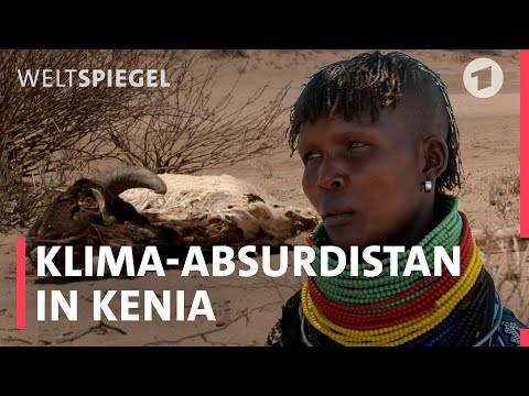 Dürre und Überflutungen: Klimafolgen in Kenia