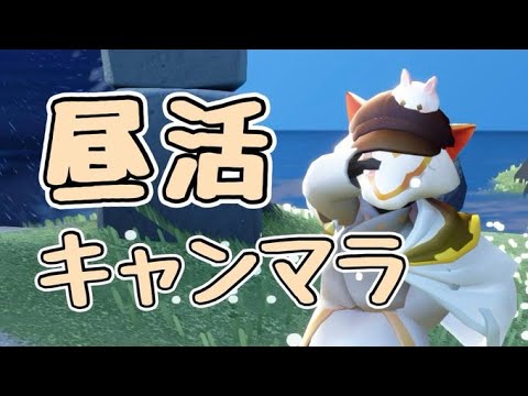 【昼キャン】灰キャンまで行けるかな