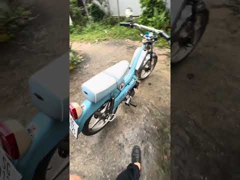 Ngày mới an lành nha ae đam mê 😊😊😊#mobylete