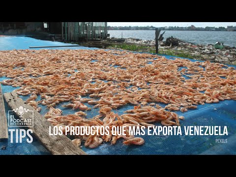 Sepa cuáles son los productos que más exporta Venezuela