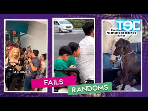 Confunden a Lady Gaga con una Fan, Trend de viajes sale MAL y Perro quita asiento a dueña
