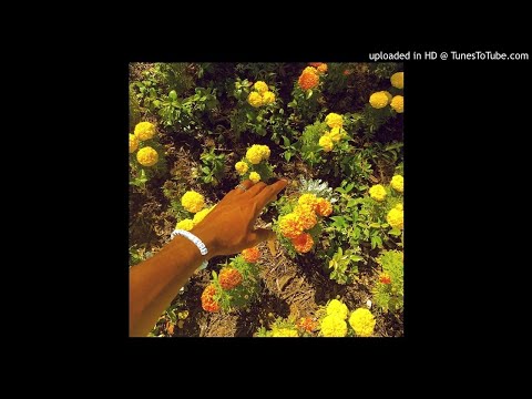 Peach Fuzz (Clean) - Tyler, The Creator