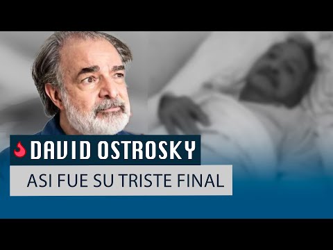 Asi fue el triste final del actor David Ostrosky.