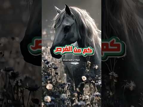 كم من الفرص أهدرت ..