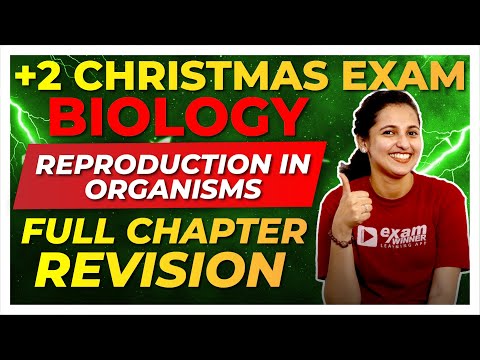 Plus Two Christmas Exam | Biology | Reproduction in Organisms | Full Chapter Revision |Exam Winner