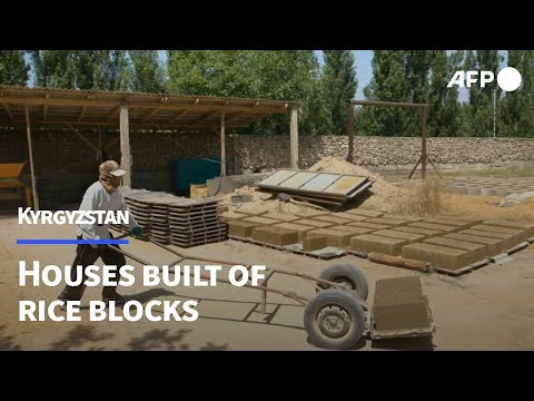 Houses made of rice blocks drive Kyrgyzstan's eco-friendly revolution | AFP