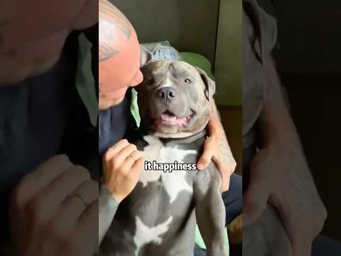 犬の動画サムネイル - What Cured Puppy Blues 🐶💫💖? Magic Paws & Love!​​ 🙁🙏 #animals #pets #rescue #dog #shorts #puppy