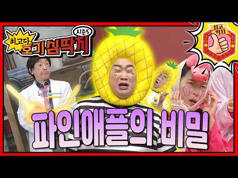 파인애플의 놀라운 능력을 알아보자!🍍ㅣ최고다! 호기심 딱지ㅣ파인애플의 비밀
