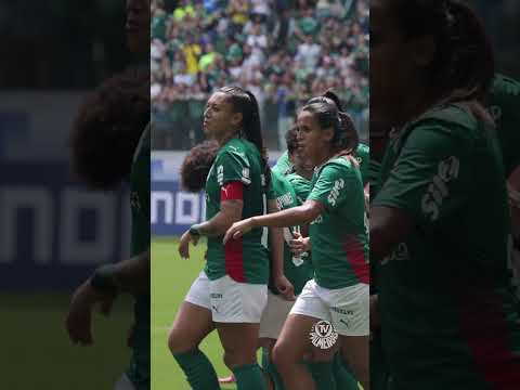 image para ilustrar o artigo