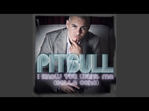 I Know You Want Me (Calle Ocho)