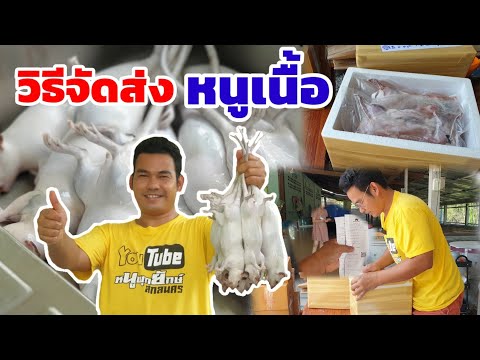 วิธีแพ็คกล่องส่งหนูเนื้อ-หนูเน วิธีแพ็คกล่องส่งหนูเนื้อ-หนูเน
