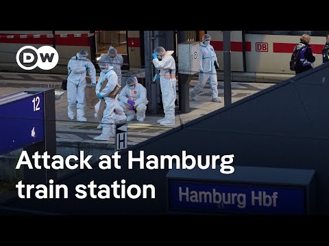 Woman arrested after knife attack injures 12 at Hamburg train station | DW News