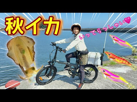 【エギング】みっぴの自転車で秋イカ釣りに行ってらっしゃい♩