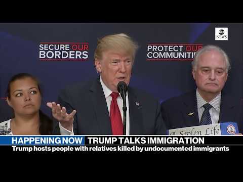Pres. Donald Trump gives remarks on immigration with 'Angel Families'  | ABC News