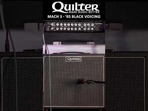 Quilter Labs | Aviator Mach 3 - '65 Black Voicing #SHORTS