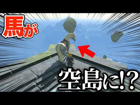 空島に馬を連れて行けるかリベンジしてみた【ゼルダの伝説 ティアーズ オブ ザ キングダム】