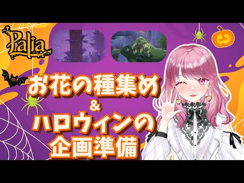 【Palia】花の種集めとハロウィン企画の準備♪(第145回パリアライブ配信)【パリア】【ライブ配信】