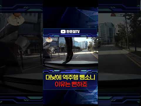 <strong>역주행</strong> 사고내고 뺑소니!