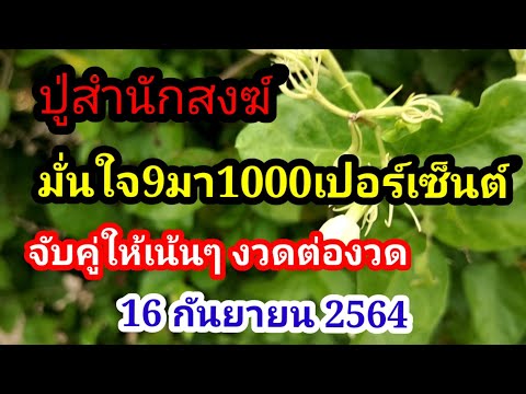 ปู่สำนักสงฆ์-มั่นใจ-9มา1000%จั ปู่สำนักสงฆ์-มั่นใจ-9มา1000%จั