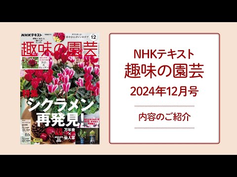 NHKテキスト『趣味の園芸』2024年12月号の紹介