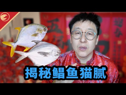 奸商冒死揭秘！鲳鱼全是套路，选对才够面