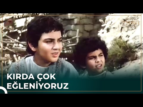 Kardeşleri Hz. Yusuf'u Kandırdı | Hz. Yusuf