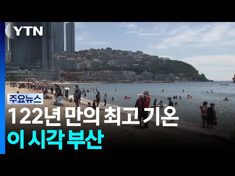 "122년 만의 최고 더위"...이 시각 부산 / YTN