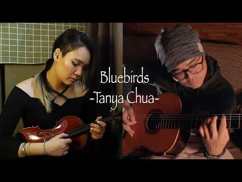 Bluebirds - 翻唱 [Tanya Chua 蔡健雅]