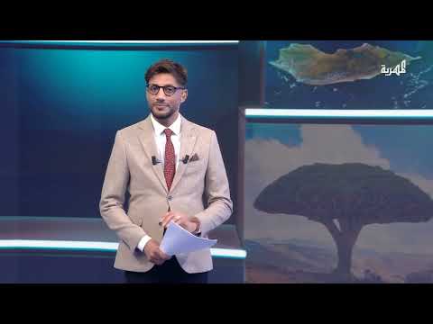 قناة المهرية الفضائية