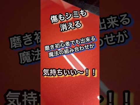 1本で塗装がキマる！！傷もシミもBASEで解決！！ #洗車 #研磨 #コーティング #車 #diy #carwash #shorts #youtubeshorts #スカイライン #ポリッシャー