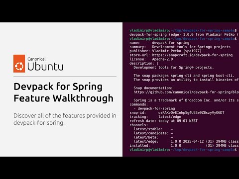 Devpack for Spring: Feature Walkthrough