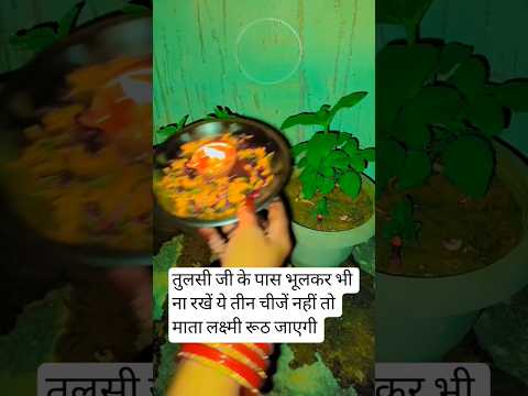 कार्तिक मास में तुलसी जी के पास भूलकर भी ना रखें ये तीन चीजें #shorts #kartiksnan2025 #tulsi #viral