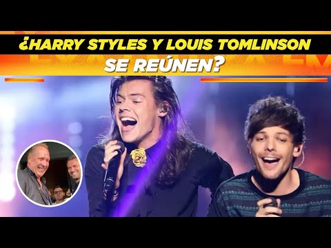 ¿Harry Styles y Louis Tomlinson se reúnen? ?