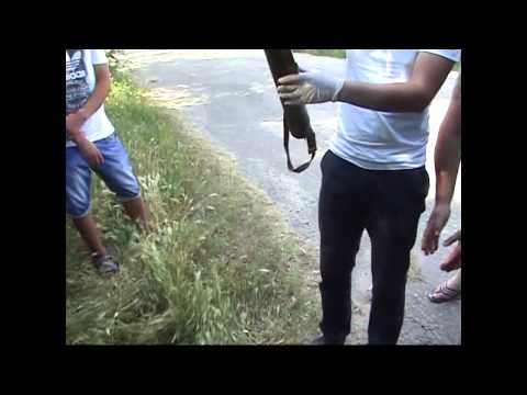 Опубликовано видео задержания торговцев оружием в Запорожской области