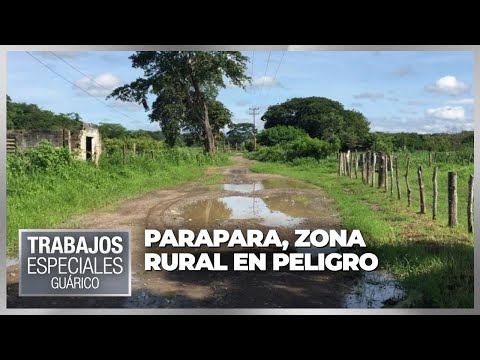 Parapara, zona rural en peligro - Especiales VPItv