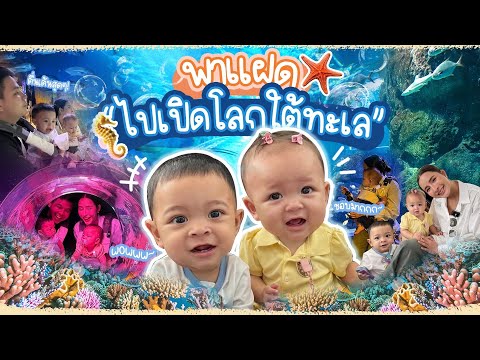 พาแฝดไปเปิดโลกใต้ทะเลSEALIFE